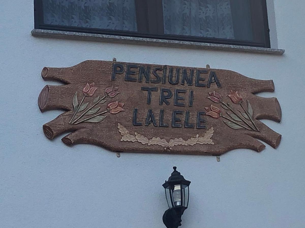 מויסי Pensiunea Trei Lalele מראה חיצוני תמונה